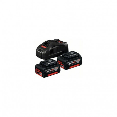 Batteries + charger Bosch GBA 18V / 2x5.0Ah + GAL 1880 CV