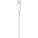 Apple Lightning to USB Cable MD818ZM/A