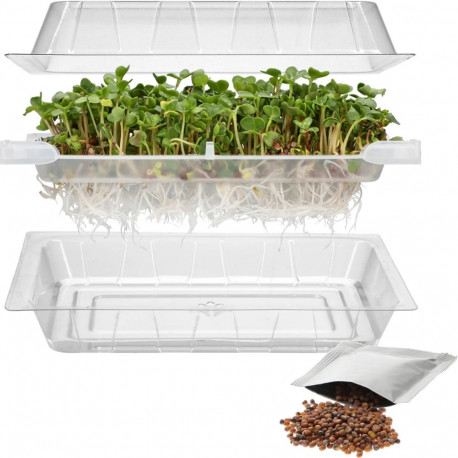 Bioogrod seed sprouter tray with radish seeds 745748, 18.5cm, 12.5cm, 6cm, 74g, plastic