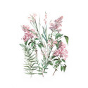Läbipaistvad kleebised – Roosa bukett 12tk