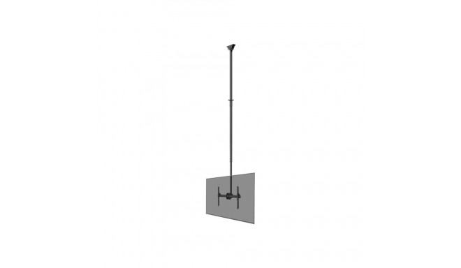 NEOMOUNTS Flat Screen Ceiling Mount Height 250-300cm
