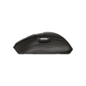 HP Ultra-Fast Scroll Wireless Mouse 785M