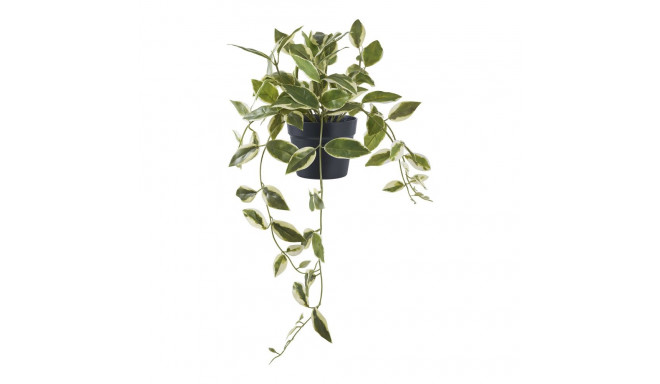 Kunsttaim HOYA 33cm, roheline