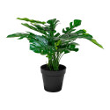 Kunsttaim MONSTERA H45 cm, roheline