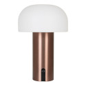 Lamp SOHAM laetav, valge/vask