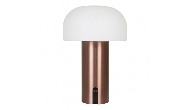 Lamp SOHAM laetav, valge/vask