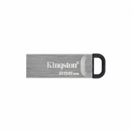Mälupulk Kingston DTKN/256GB USB 3.2 Hõbedane Must 256 GB