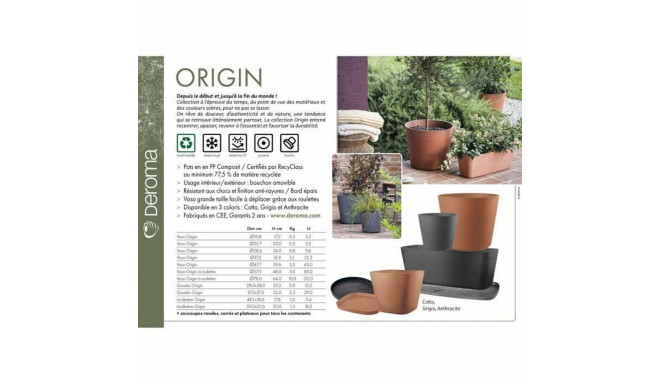 Lillepoti Taldrik Deroma