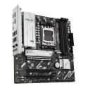 Motherboard Asus AMD AM5 AMD