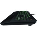 Razer keyboard DeathStalker US