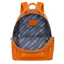 School Bag Dragon Ball