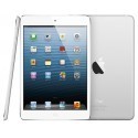 Apple iPad mini 16GB WiFi A1432, white/silver