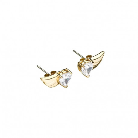 Ladies' Earrings Chiara Ferragni J19AVH07