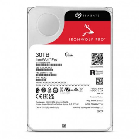 Kõvaketas Seagate ST30000NT011 3,5"