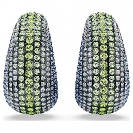 Naiste Kõrvarõngad Swarovski 5689592