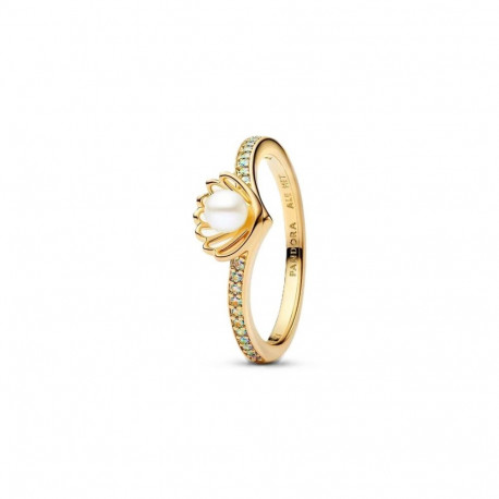 Ladies' Ring Pandora 163654C01-54 Golden