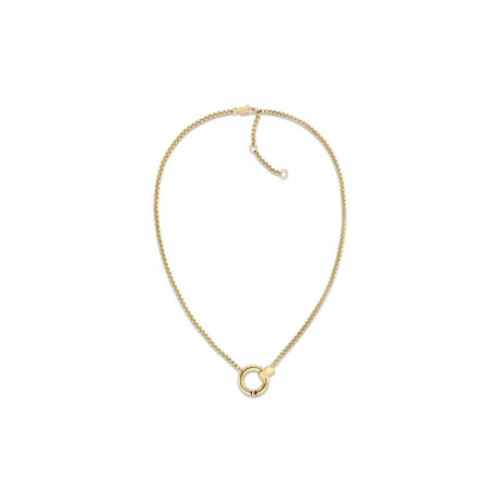 Naiste Kaelakee Tommy Hilfiger 2780945 45 cm