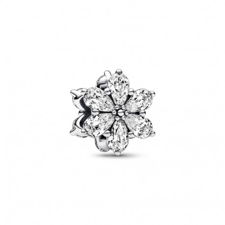 Käevõru võlud Pandora SPARKLING HERBARIUM CLUSTER