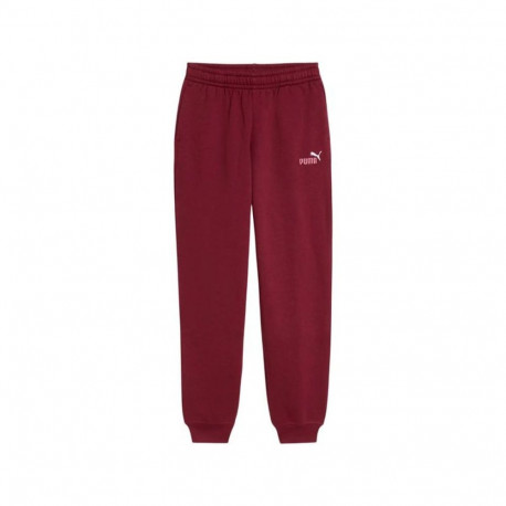 Laste Lühikesed Spordipüksid Puma Essentials 2 Color Small No Kastanpruun