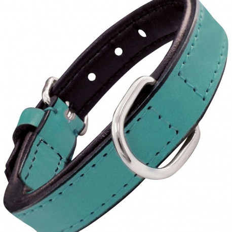 Koera kaelarihm Gloria Polsterdatud Turquoise 45 cm (45 x 2 cm)