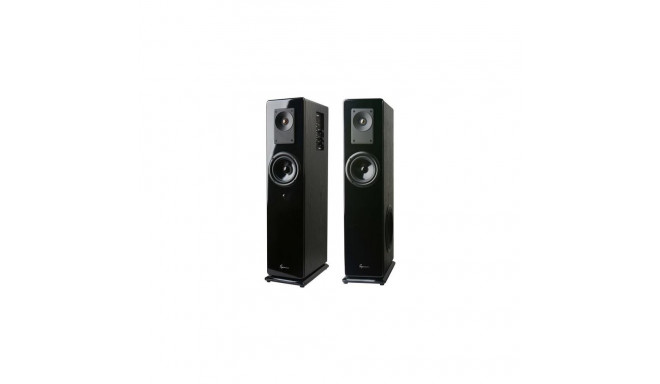 C-TECH VIRTUS loudspeaker Black Wired &amp; Wireless 100 W