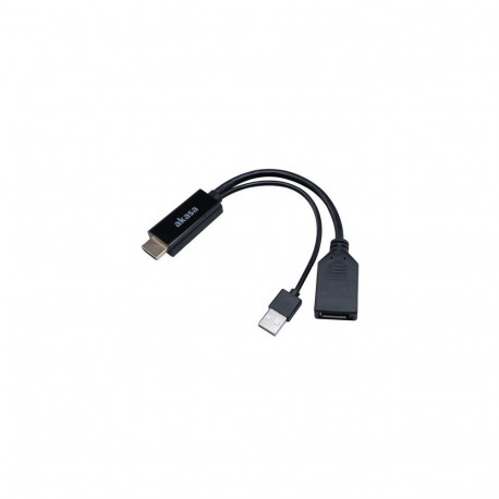 Akasa HDMI to DisplayPort Adapter cable