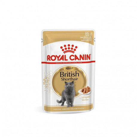 Kassitoit Briti lühikarvale kastmes 85G
