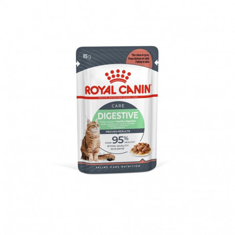 koopiapaber digitaaltundlik 85G
