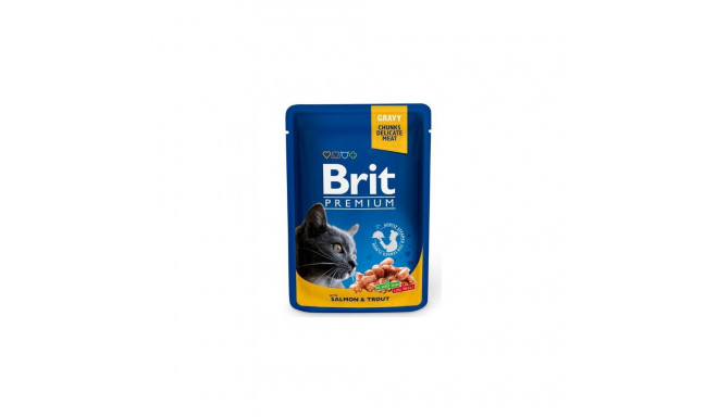 BRIT PREMIUM SALMON&TROUT 100G