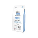 BRIT CARE MINI sensitive