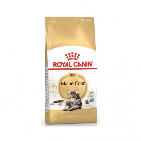 kassitoit FBN Maine Coon