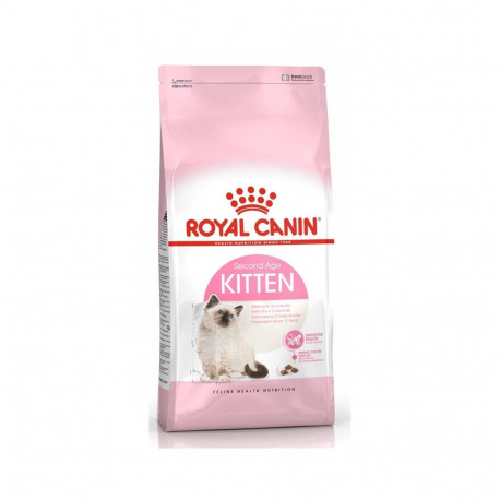 kassitoit kassipoegadele 2kg