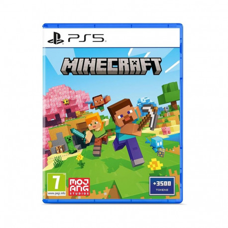 PS5 Minecraft