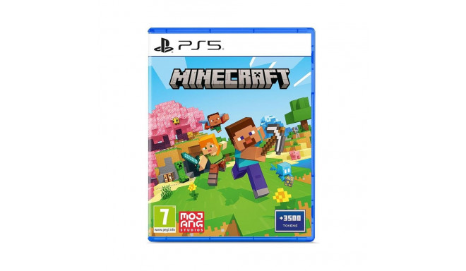 PS5 Minecraft
