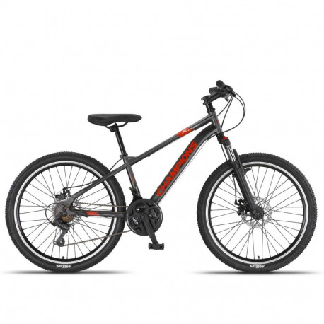 Noorukite jalgratas Champions 24 Kaunos DB Anthracite (Ratta suurus: 24 Raami suurus: 13)