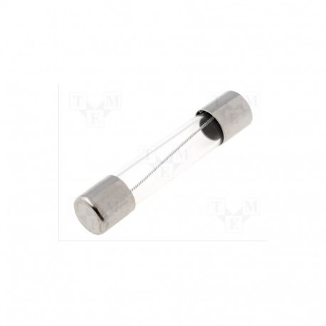 Eska kaitse ZGT-20A 20A;250V AC.