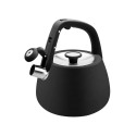 Kettle 2,5l