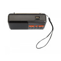 Portable analog AM/FM Bluetooth RA18