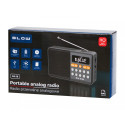 Portable analog AM/FM Bluetooth RA18