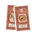 US Games Systems Shaman Wisdom Cards