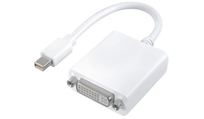Vivanco adapteris Mini DisplayPort - DVI 0.1m (45497)