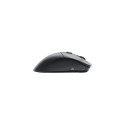 Glorious Gaming Glorious Model D 2 PRO Wireless - 4K/8K Polling - Black