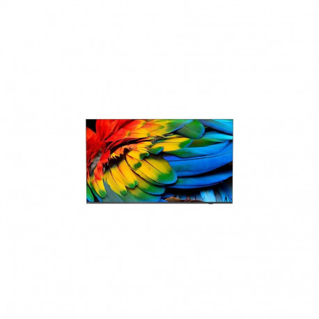Philips 43HFL6214U 109.2 cm (43") 4K Ultra HD Smart TV Wi-Fi Anthracite 400 cd/m² Rollable disp
