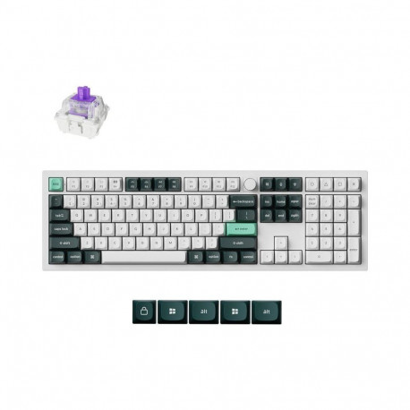 KEYBOARD WRL Q6 HE RGB/SHELL WHITE Q6H-P1 KEYCHRON