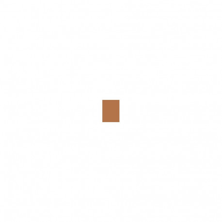 Shiseido Synchro Skin Correcting GelStick (2ml) (401 Tan)