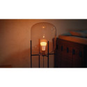 Philips Hue WCA 810 A60 3P EU | E27 | 6 W | Bluetooth, Zigbee