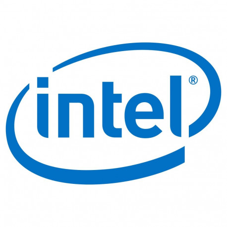 Intel Remote Management Module 4 Lite 2 kaughaldusadapter