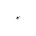 "TARGUS PRIVACY SCREEN 24 IN"