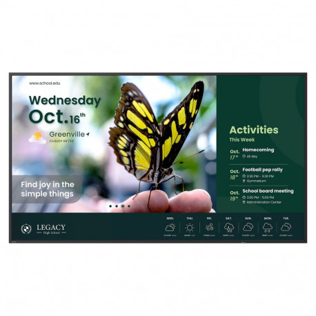 BenQ 139.7cm (55"") ST5504 Android 14 UHD 2xHDMI 350nits (suuremõõtmeline tarne)