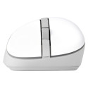 "ASUS MD102 Maus, weiß, Silent"